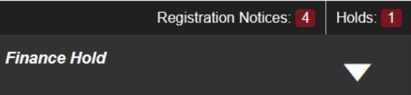 Example of registration holds in Self Service showing 4 registration notices and 1 hold with a Finance Hold dropdown