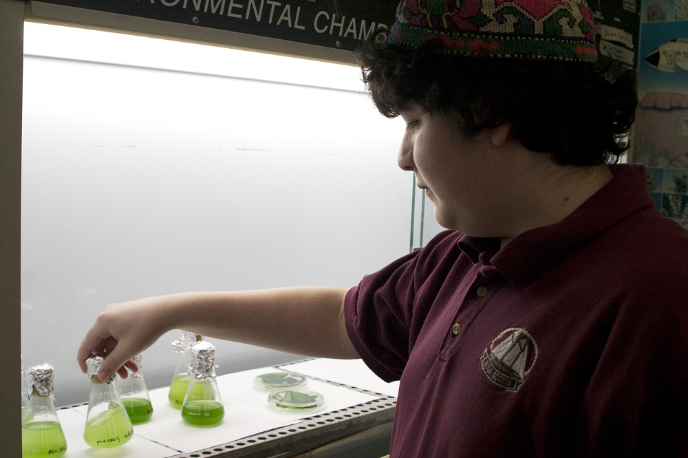 Student works in science lab with beakers.