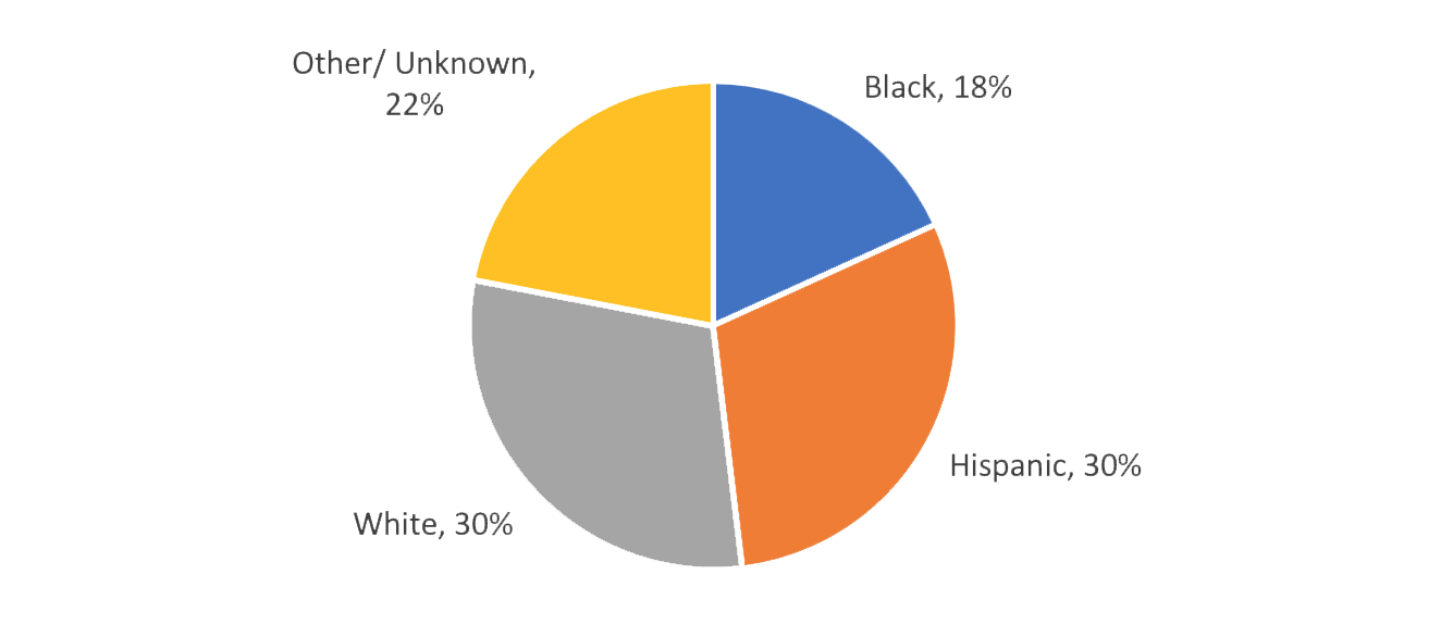 RCC Student Race/Ethnicity grand total pie chart - White, 30%; Hispanic, 30%; Black, 18%; Other/Unknown, 22%