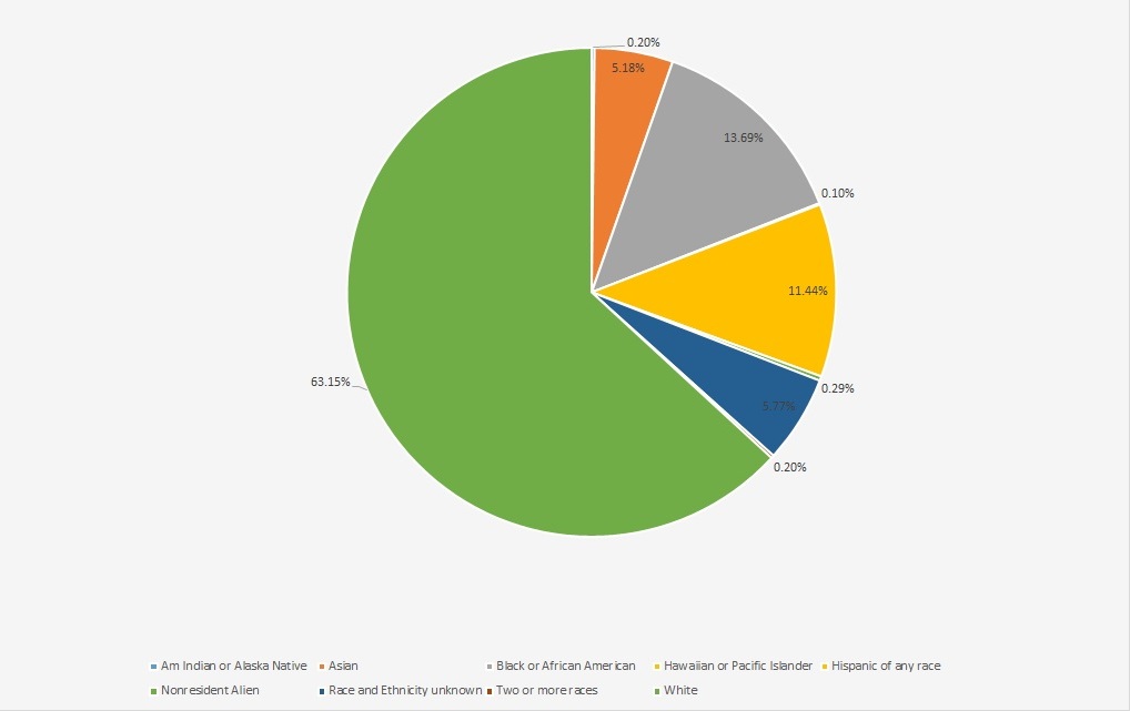 pie chart showing RCC employees by race