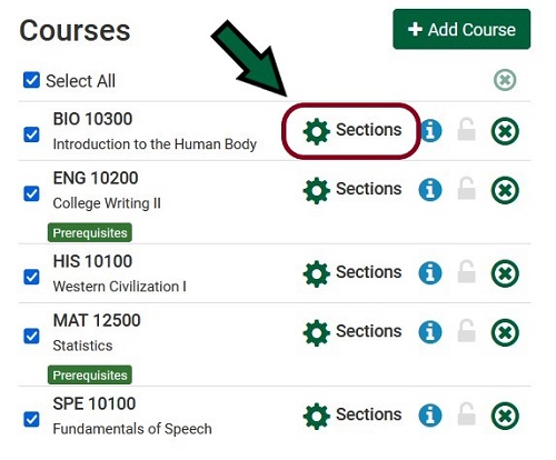screenshot of Courses with Sections option highlighted