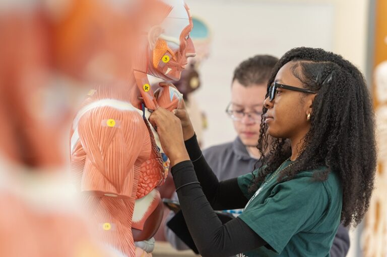 two students working in anatomy lab