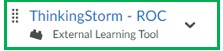screenshot of ThinkingStorm link in Brightspace