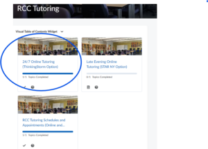 screenshot of tutoring options in D2L Brightspace with ThinkingStorm option circled